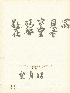 数码宝贝国语版在哪里看