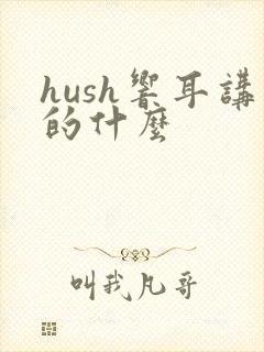 hush响耳讲的什么