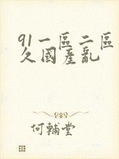 91一区二区久久国产乱封面