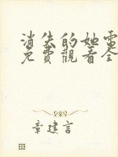 消失的她电视剧免费观看全集封面