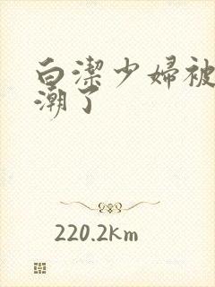 白洁少妇被弄高潮了