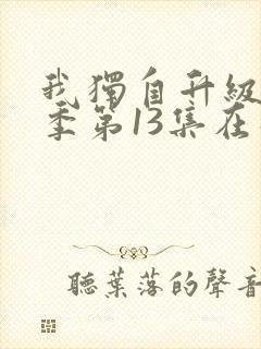 我独自升级第二季第13集在线观看