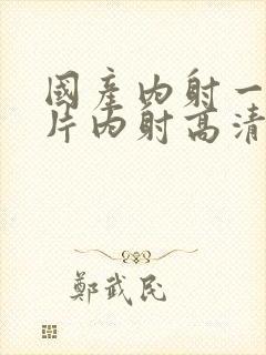 国产内射一级一片内射高清视频大全封面