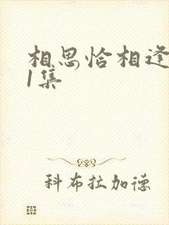 相思恰相逢最后1集