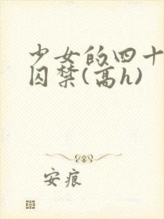 少女的四十九天囚禁(高h)封面