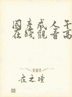 国产成人午夜片在线观看高清观看封面