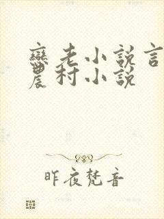 恋老小说言情网农村小说