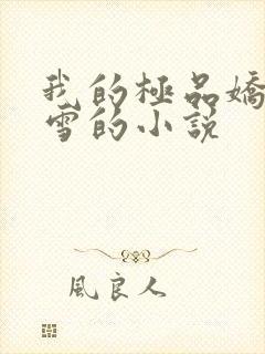 我的极品娇妻沈雪的小说