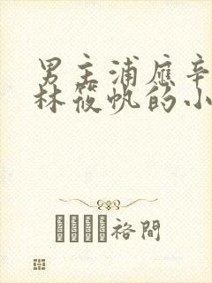 男主浦应辛女主林筱帆的小说