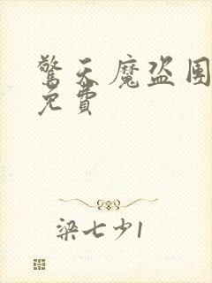 惊天魔盗团高清免费