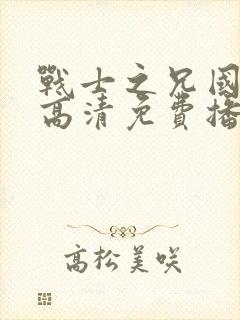 战士之兄国语版高清免费播放封面