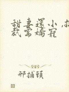 甜妻还小 ,总裁需娇宠