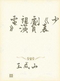 电视剧《少年派》演员表