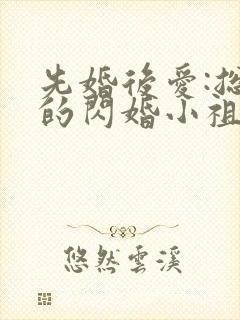 先婚后爱:总裁的闪婚小祖宗封面