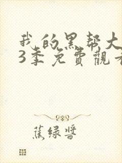 我的黑帮大佬第3季免费观看