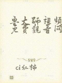 鲁大师视频观看免费观看网站封面