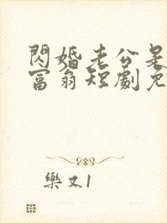 闪婚老公是亿万富翁短剧免费观看