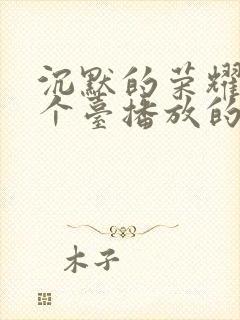 沉默的荣耀是哪个台播放的