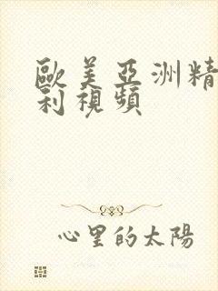 欧美亚洲精品福利视频