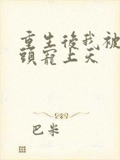 重生后我被死对头宠上天