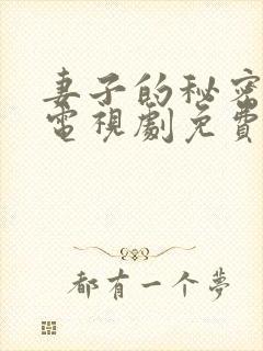 妻子的秘密韩剧电视剧免费观看