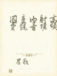 国产内射高清免费观看视频