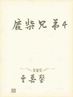废柴兄弟4封面