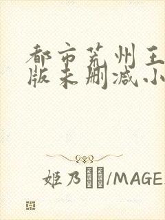 都市荒州王完整版未删减小说