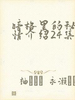 暗格里的秘密剧情介绍24集