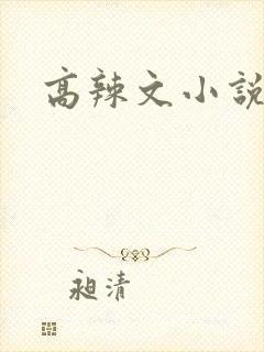 高辣文小说