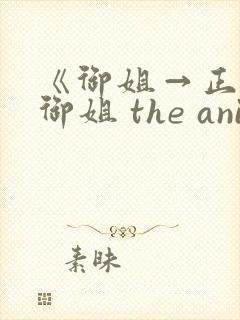 《御姐→正太←御姐 the animation》