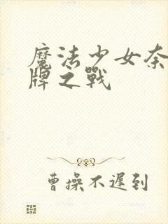 魔法少女奈叶王牌之战