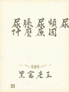 尿胀尿频尿痛是什么原因封面