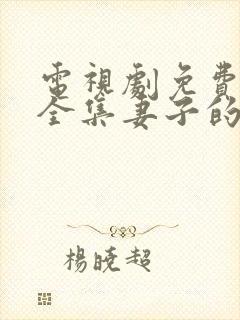 电视剧免费观看全集妻子的秘密封面