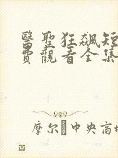 医圣狂飙短剧免费观看全集高清封面