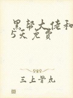 黑帮大佬和365天免费