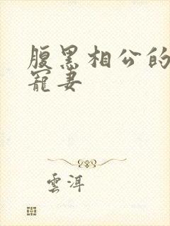 腹黑相公的庶女宠妻