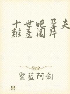 十世吧孕夫生子难产图片封面