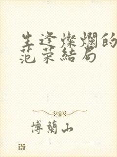 生逢灿烂的日子范荣结局封面