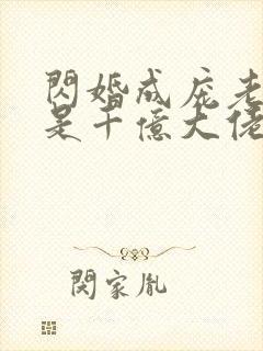 闪婚成庞老公竞是千亿大佬