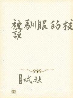 被驯服的校霸小说