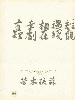 有幸相遇离婚时短剧在线观看