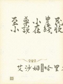 至尊小农民有声小说在线收听