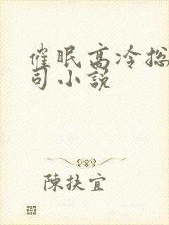 催眠高冷总裁上司小说