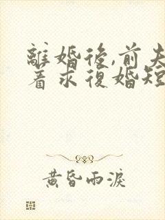 离婚后,前夫哭着求复婚短剧