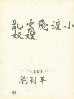 乱云飞渡小说之姣嫂