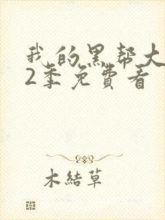 我的黑帮大佬第2季免费看