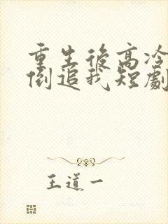 重生后高冷妻子倒追我短剧免费观看