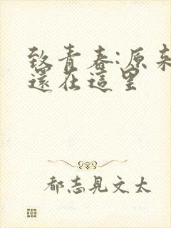 致青春:原来你还在这里