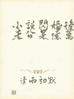 小说闪婚后发现老公是亿万富豪